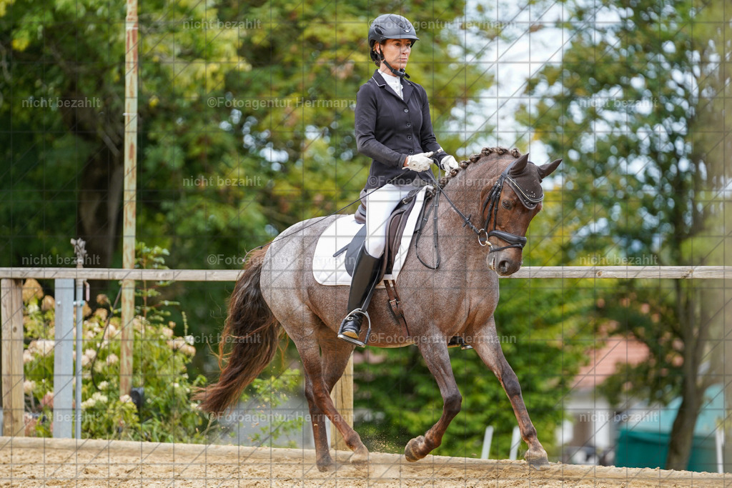 20231007-SN_00672 | Diessen am Ammersee, 2023, Dressur- und Springturnier, Reitsport, Turnierfotografie, Pferdebilder, Reitbilder, Turnierfotografen Bayern, Fotoagentur Herrmann