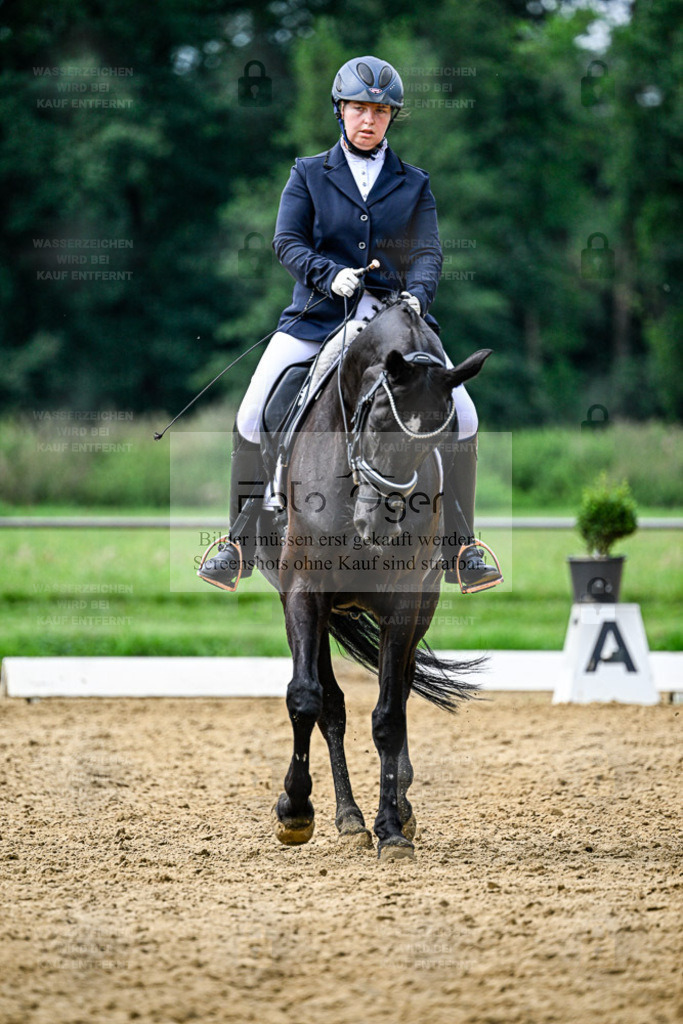 Reitturnier Hasbergen | Entdecke hochwertige Reitturnierfotos von Foto Oger. Professionell, emotional und authentisch – jetzt Lieblingsmomente im Shop bestellen. - Realisiert mit Pictrs.com