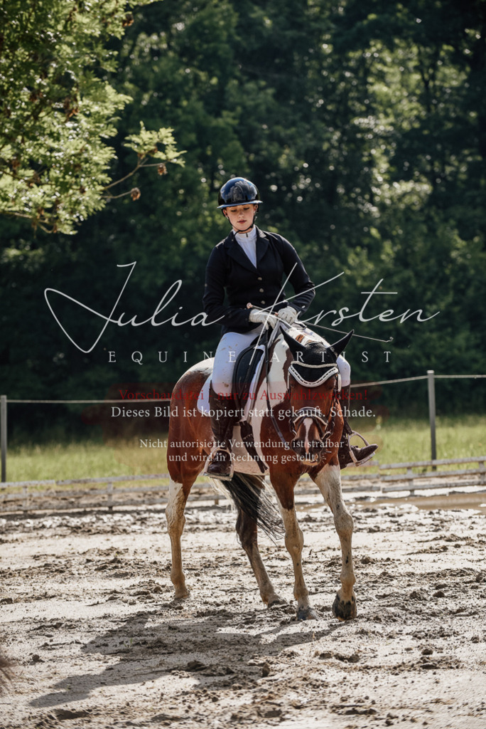 DSC_8831 | Pferde- und Turnierfotografie in Westsachsen. Pferdeportraits, Auftragszeichnungen und intuitive Kunst.