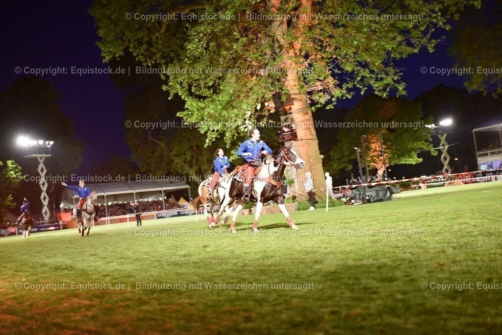 20230526_Pferdenacht_1344 | equistock