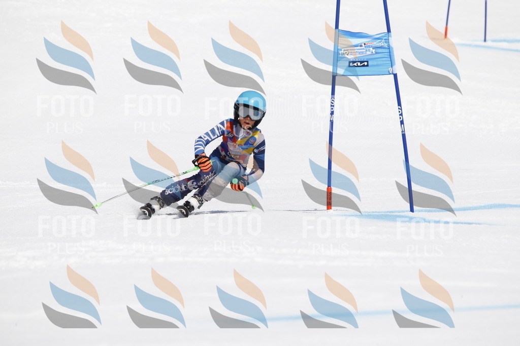 _U3G4386 | holidayphoto