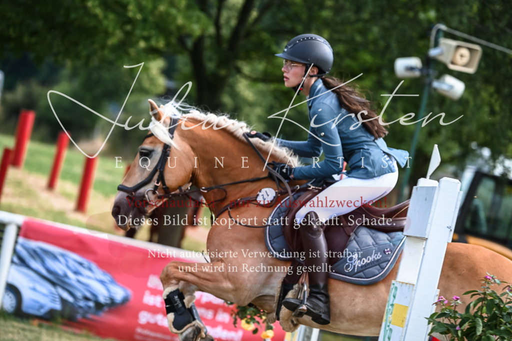 DSC_7935 | Pferde- und Turnierfotografie in Westsachsen. Pferdeportraits, Auftragszeichnungen und intuitive Kunst.
