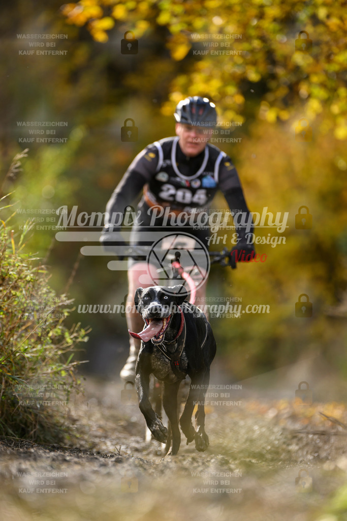 MompixPhotography_ICF_WC_2024_SA_Bike_-329 | PayLife