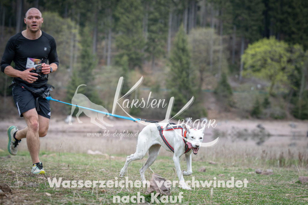 1810_ZZ94317 | kk-dogfotos