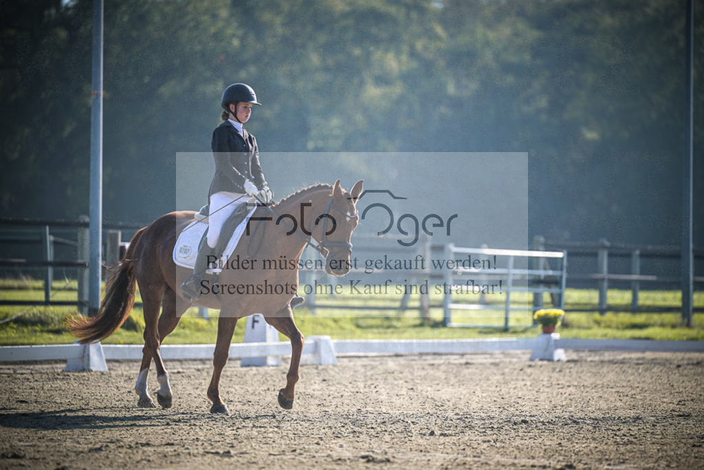 DOS_0919 | Entdecke hochwertige Reitturnierfotos von Foto Oger. Professionell, emotional und authentisch – jetzt Lieblingsmomente im Shop bestellen.Deutschlandweite Turnierfotografie. - Realisiert mit Pictrs.com