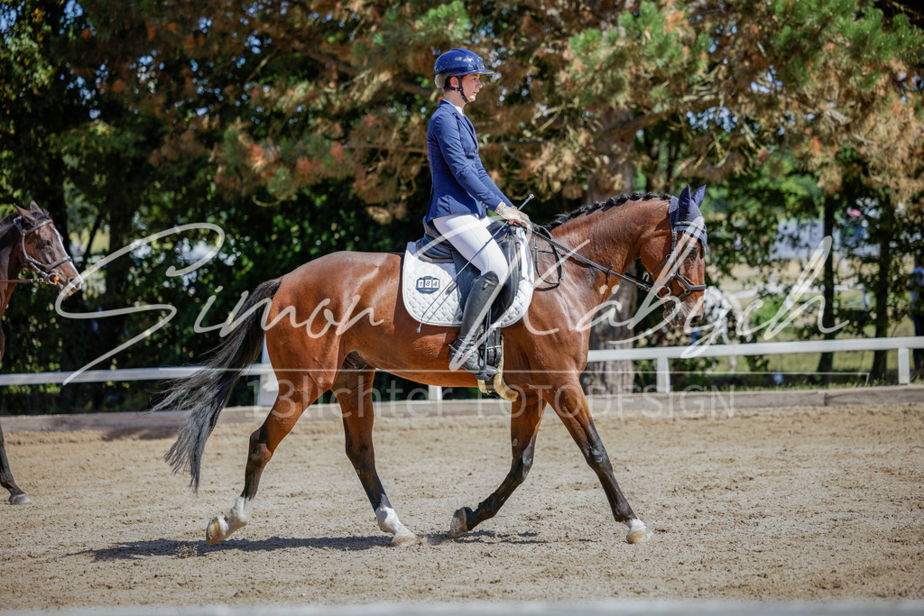 20250906-_3LI4428 | Tierfotografie Pferde, Hunde, Katzen, Haustiere.
Turnierfotografie Reitturniere, Reiten, Springreiten, Dressur in Hanau, dem Main-Kinzig-Kreis und dem Rhein-Main- Gebiet um Frankfurt
