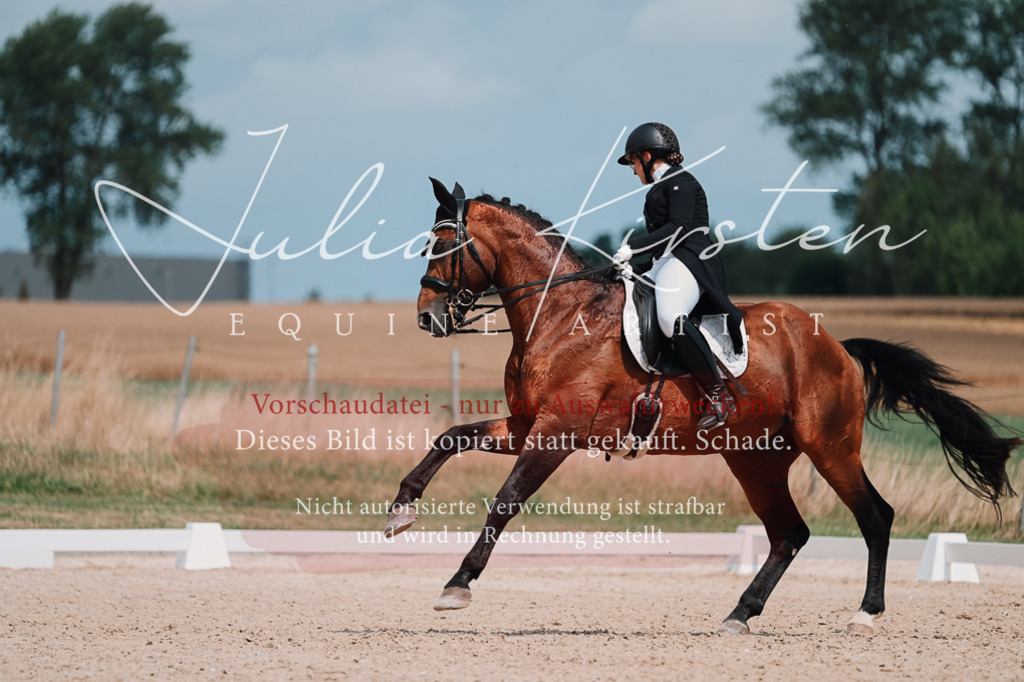 DSC_4385 | Pferde- und Turnierfotografie in Westsachsen. Pferdeportraits, Auftragszeichnungen und intuitive Kunst.