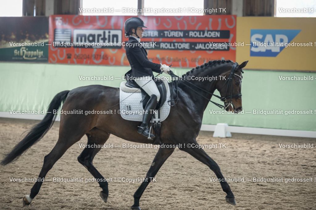 _D5A4684 | Emotionale Pferde- & People-Fotografie rund um Heidelberg, Leimen & Umgebung. Natürliche Fotos von Pferd, Mensch & Familie. Jetzt Termin sichern!