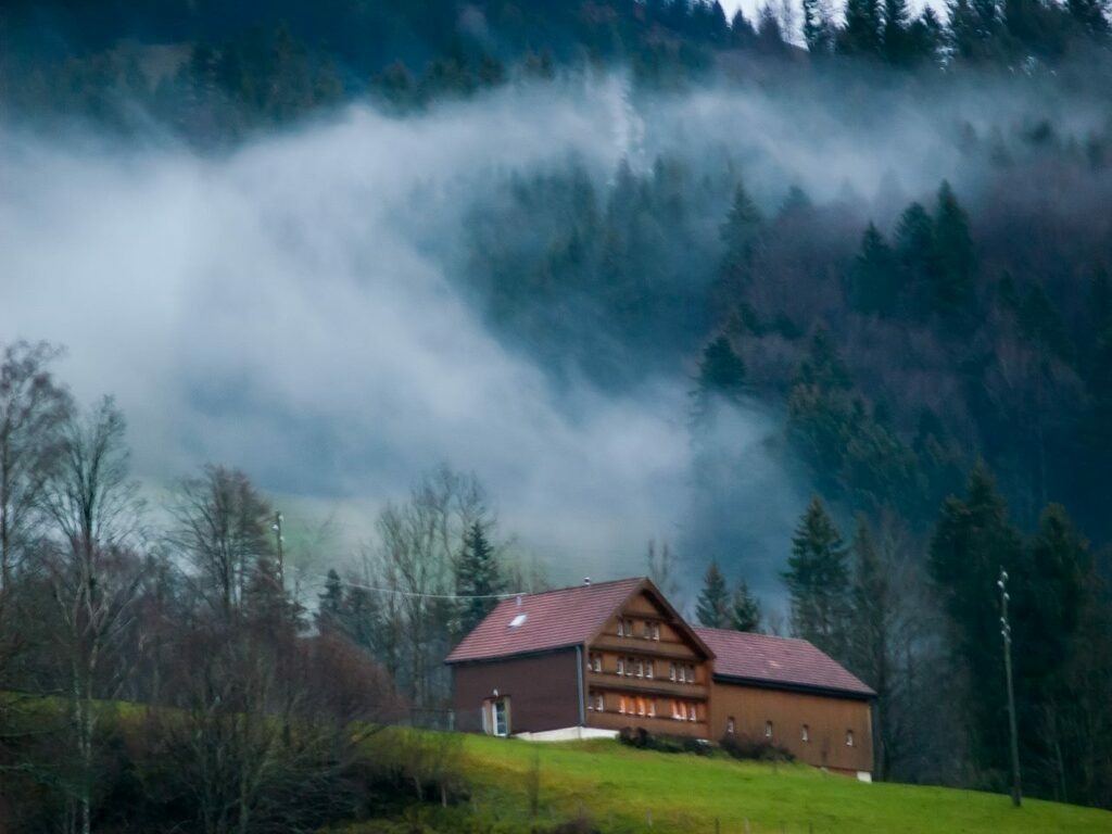 PSX_20221225_001412 | mtkfoto_ - Realisiert mit Pictrs.com