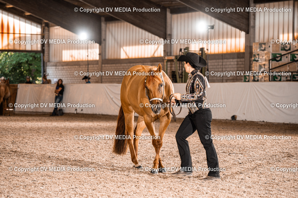 ZH100143 | dv-media-shop - Realisiert mit Pictrs.com