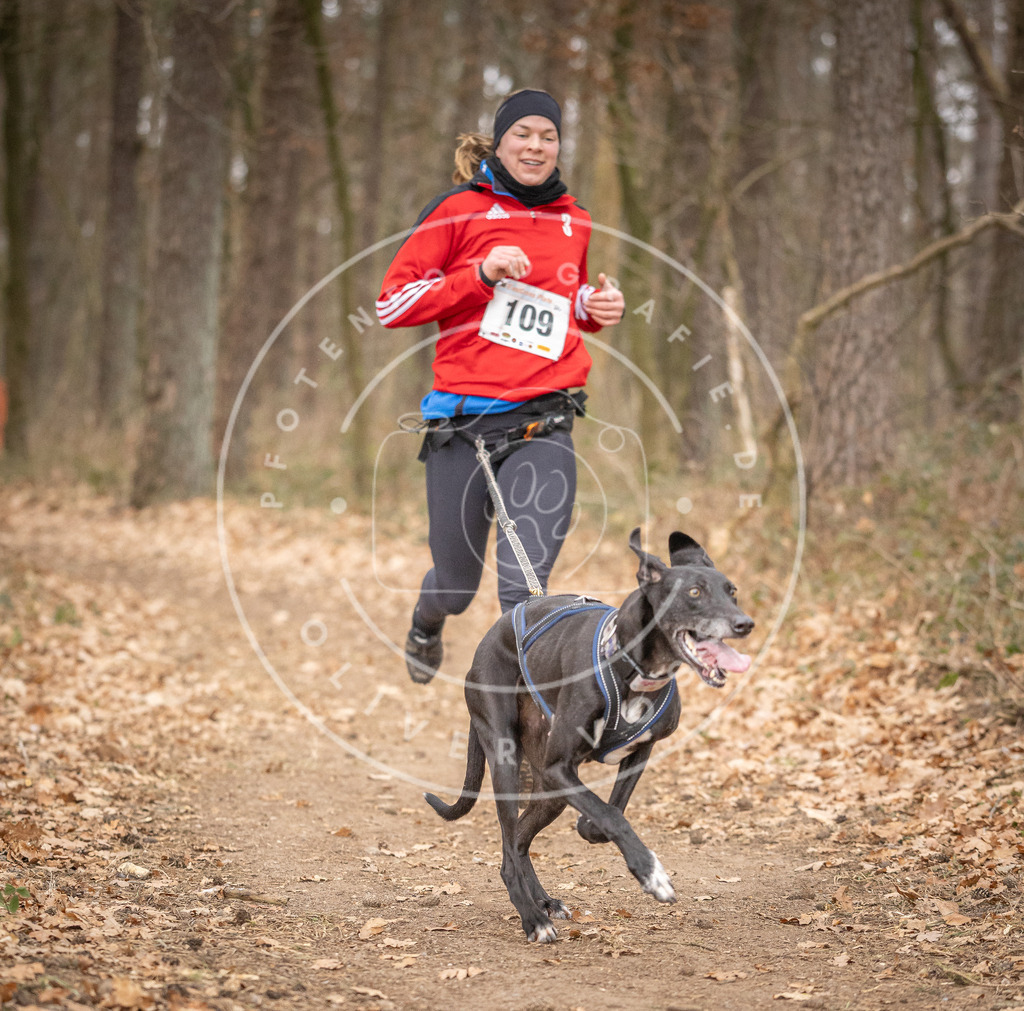 Pfotenfotografie_DV3A7664 | Hundefotografie, Tierfotograf, Pfotenfotografie, Fotoshooting Hund, Hunde Portrait, Hundesport, Hundeportraits, Heideshooting, Hunde, Sportfotograf, Hundefotograf, Turnierhundsport, THS,  - Realisiert mit Pictrs.com