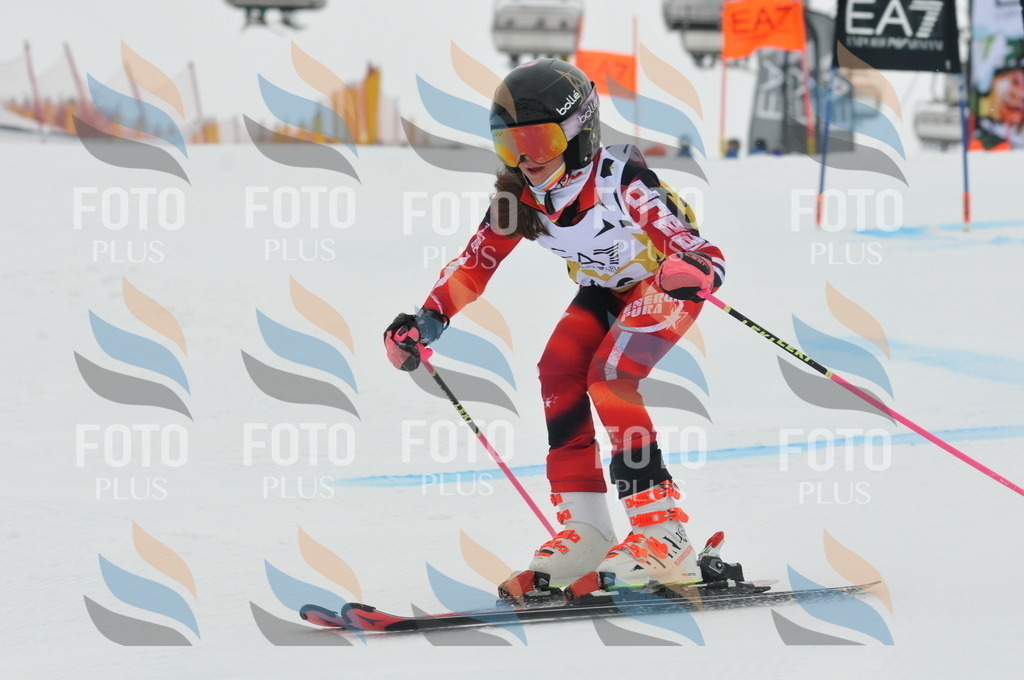 DSC_8266 | holidayphoto