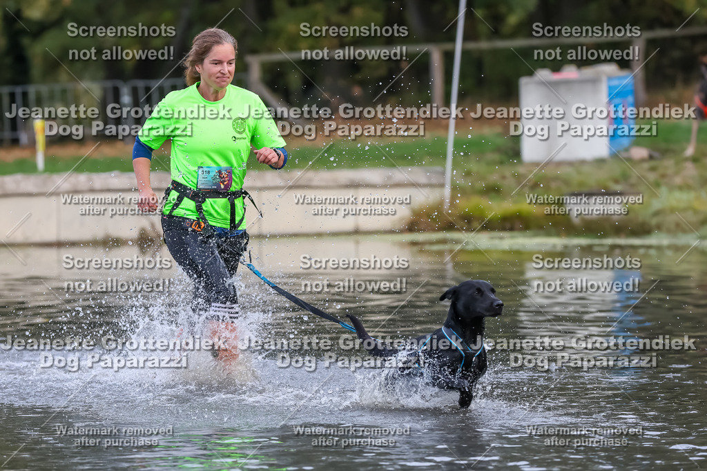 Dog Paparazzi - Strongdog 10-25-6596 | Dog Paparazzi Jeanette Grottendiek Fotografie & Videografie - Realisiert mit Pictrs.com