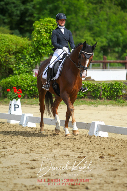 DKP45823 | Turniersportfotografie; Pferdefotografie; Dressurfotografie