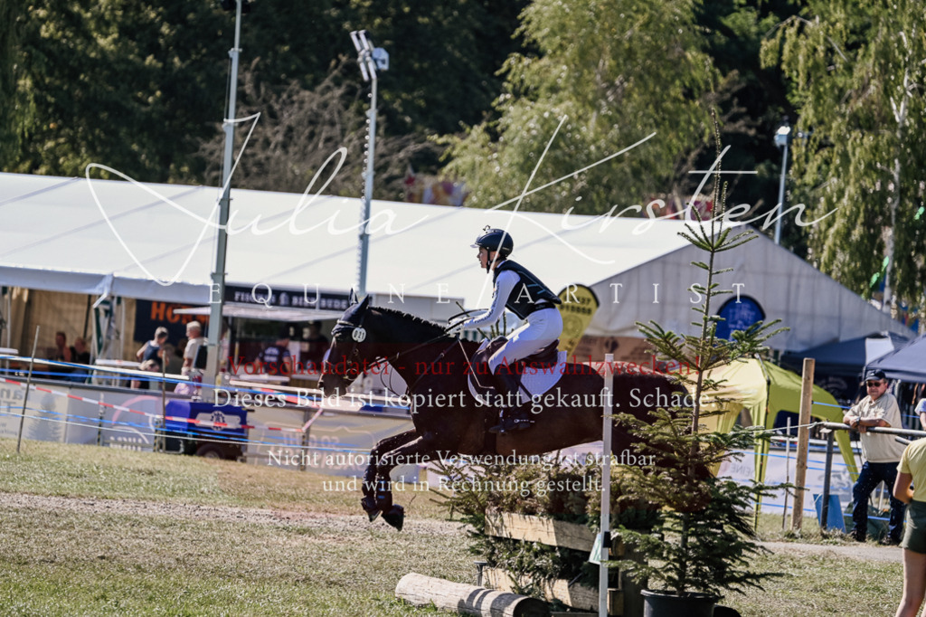 DSC_2806 | Pferde- und Turnierfotografie in Westsachsen. Pferdeportraits, Auftragszeichnungen und intuitive Kunst.