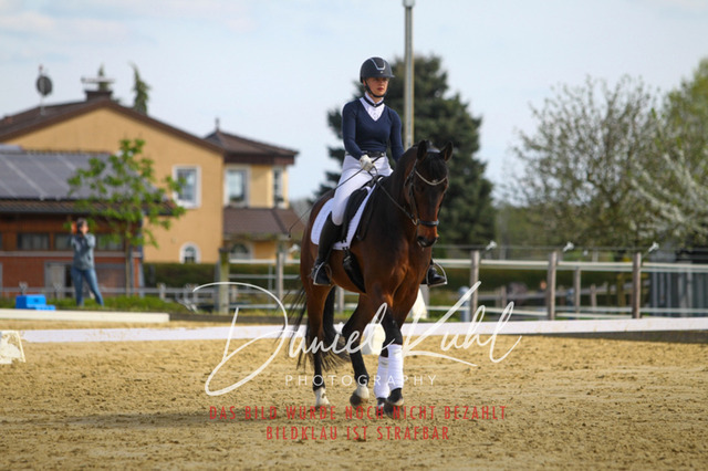 DKP43283 | Turniersportfotografie; Pferdefotografie; Dressurfotografie