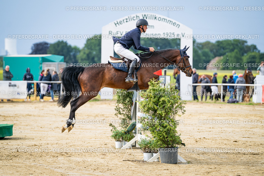 DSC03727 | Pferdegrafie