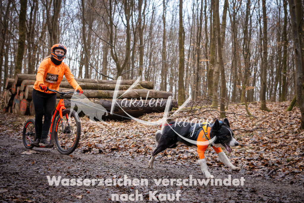 0848_ZZ94805 | kk-dogfotos