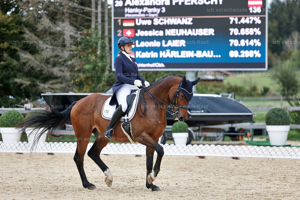 11-036-Dressur S___-StoibPH-1447 | working equitationturnier fotograf videograf stoibphotography marixx film working equitation deutschland reitsport turnierfotografie eventfotografie equestrian events