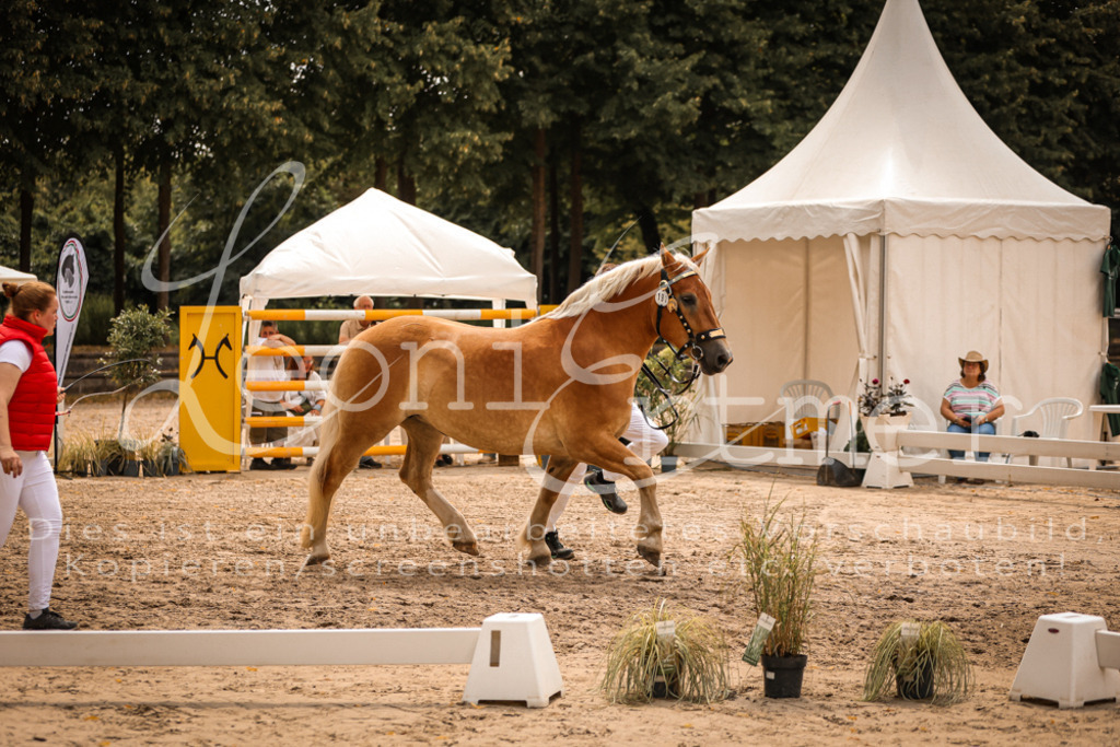 4.Sa00013 | Leoni Ertmer Photography - Realisiert mit Pictrs.com