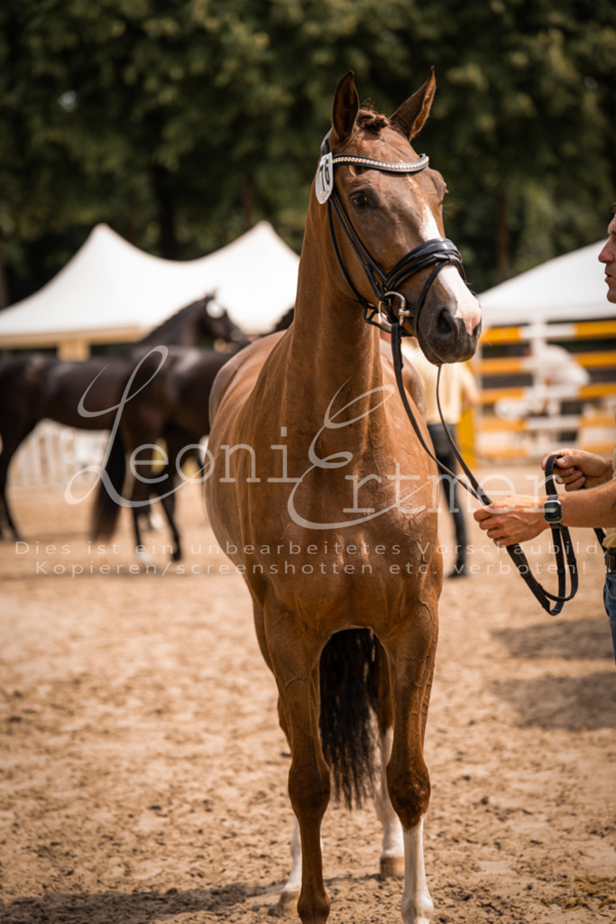 4.Fr00209 | Leoni Ertmer Photography - Realisiert mit Pictrs.com