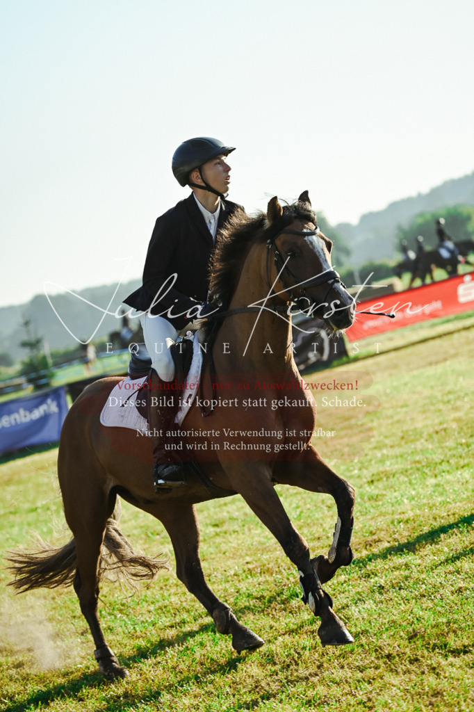 DSC_4113 | Pferde- und Turnierfotografie in Westsachsen. Pferdeportraits, Auftragszeichnungen und intuitive Kunst.