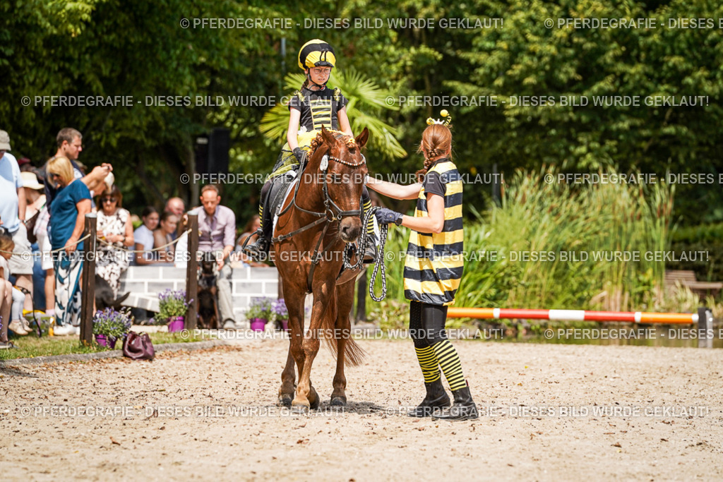 DSC02973 | Pferdegrafie