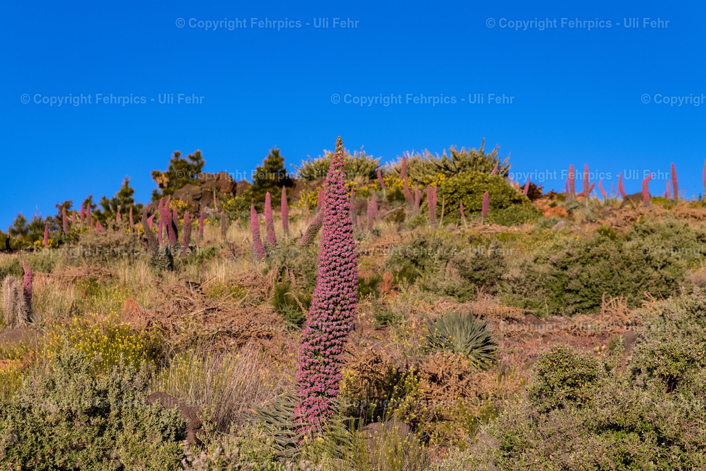 20220520-A7R09903 | Fehrpics - hochwertige Fotoprodukte rund um Landschaft, Natur, Sterne & Milchstraße. - Realisiert mit Pictrs.com