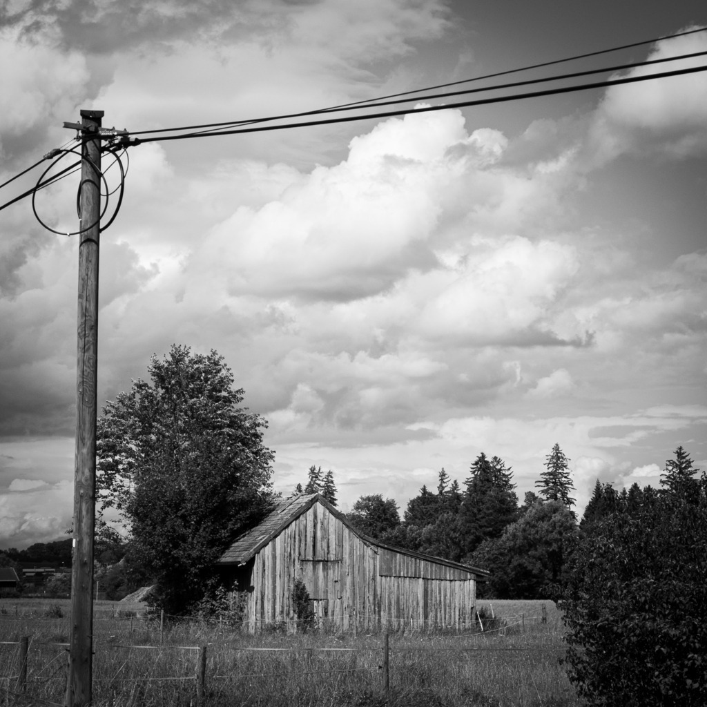 DSC_0921 | kaefersammler_roy - Realisiert mit Pictrs.com