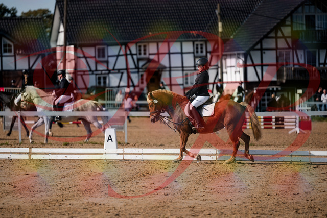 2026_10_03_Siefer-Hof_122122_Z63_44816737 | Professionelle Reitsport-, Turnier- und Eventfotografie von Robert Broda. Galerien mit ausgewählten und bearbeiteten Bildern direkt online ansehen und bestellen.