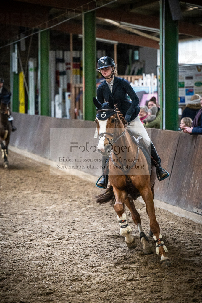 DOS_0049 | Entdecke hochwertige Reitturnierfotos von Foto Oger. Professionell, emotional und authentisch – jetzt Lieblingsmomente im Shop bestellen.Deutschlandweite Turnierfotografie. - Realisiert mit Pictrs.com