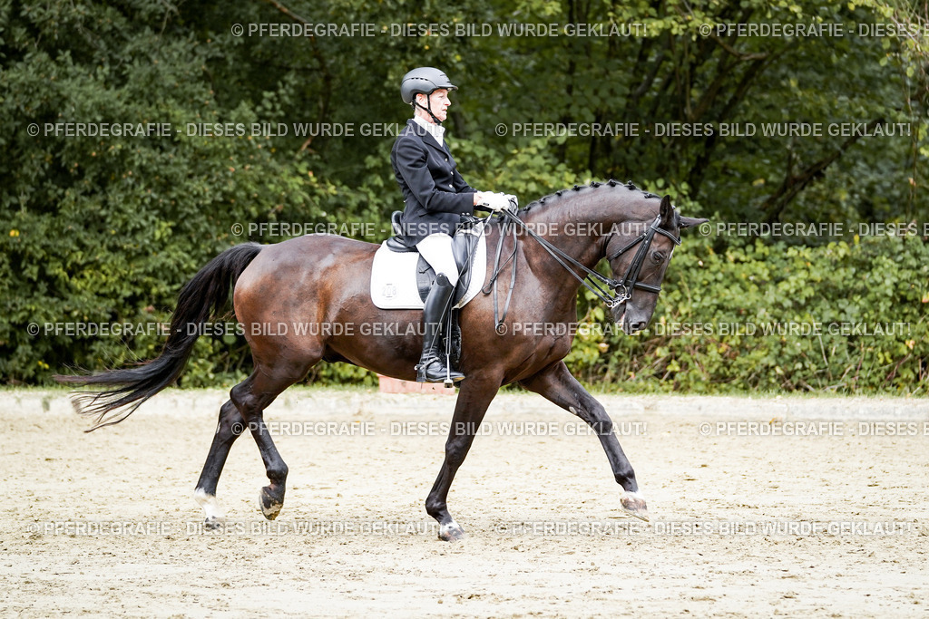 DSC05868 | Pferdegrafie