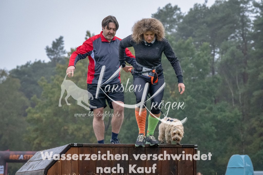 1243--2 | kk-dogfotos