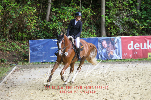 DKP40576 | Turniersportfotografie; Pferdefotografie; Dressurfotografie