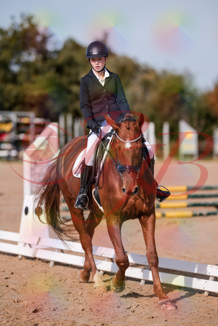 2026_10_03_Siefer-Hof_114133_Z81_84640606 | Professionelle Reitsport-, Turnier- und Eventfotografie von Robert Broda. Galerien mit ausgewählten und bearbeiteten Bildern direkt online ansehen und bestellen.