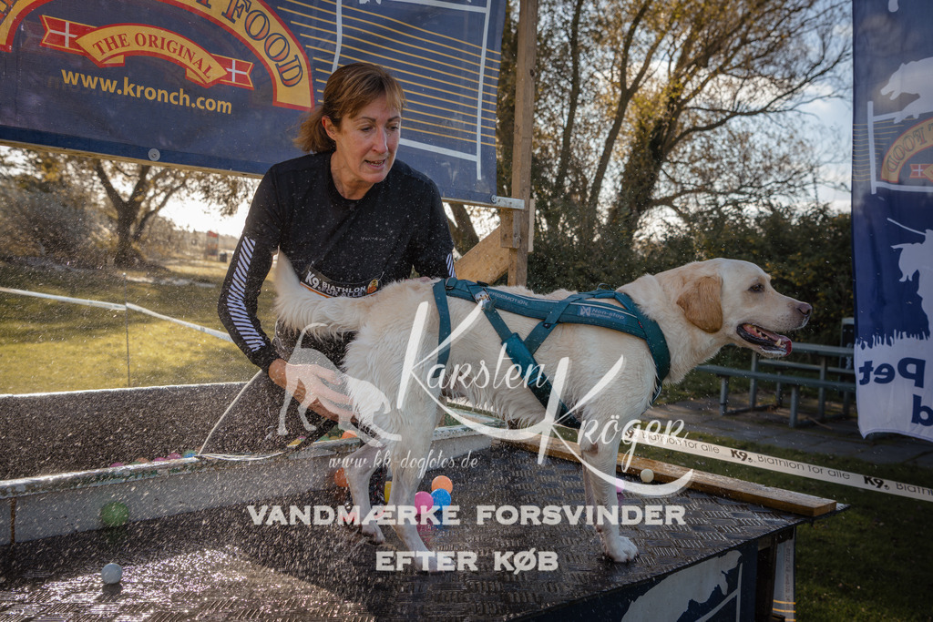 1058_ZZ91280 | kk-dogfotos