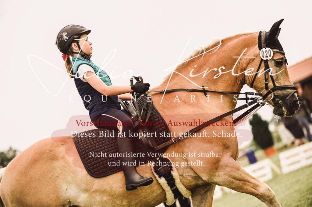 DSC_5332 | Pferde- und Turnierfotografie in Westsachsen. Pferdeportraits, Auftragszeichnungen und intuitive Kunst.