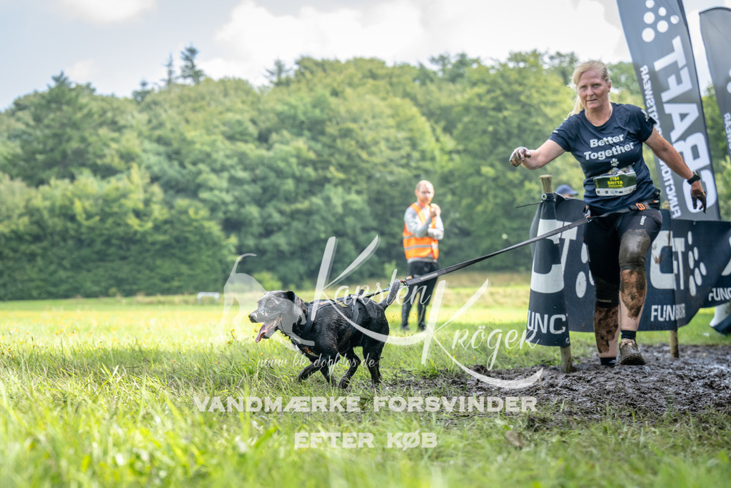 1138_ZZ93789 | kk-dogfotos