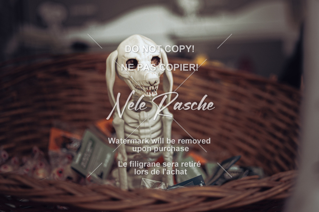 nelerasche_Creepy2025_SaStart_16 | nelerasche
