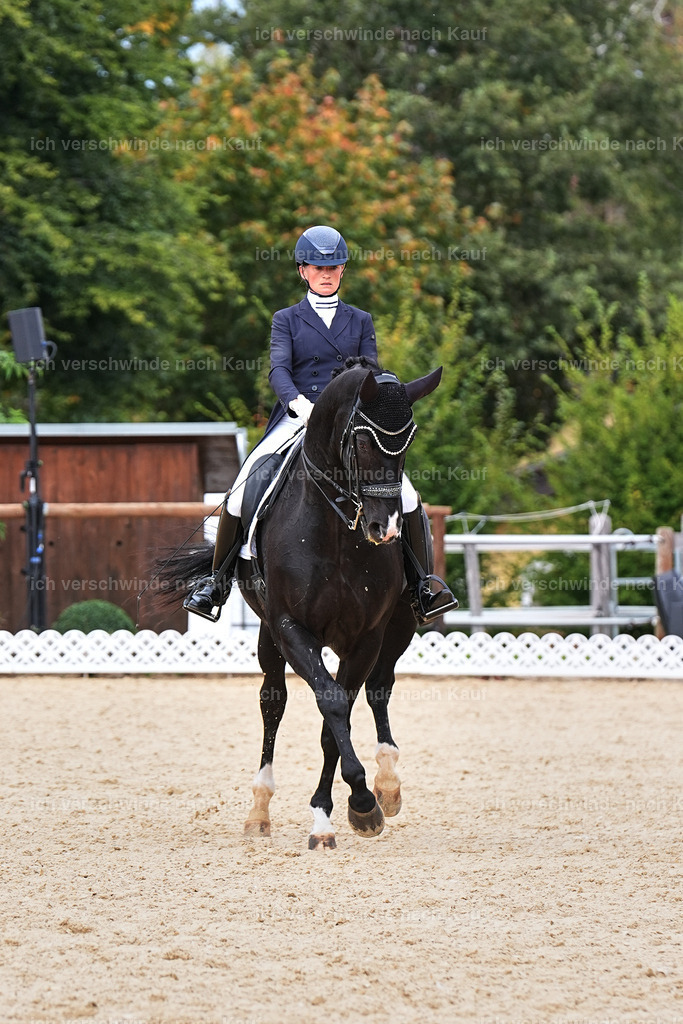 11-042-Dressur S___-Marixx-1668 | working equitationturnier fotograf videograf stoibphotography marixx film working equitation deutschland reitsport turnierfotografie eventfotografie equestrian events