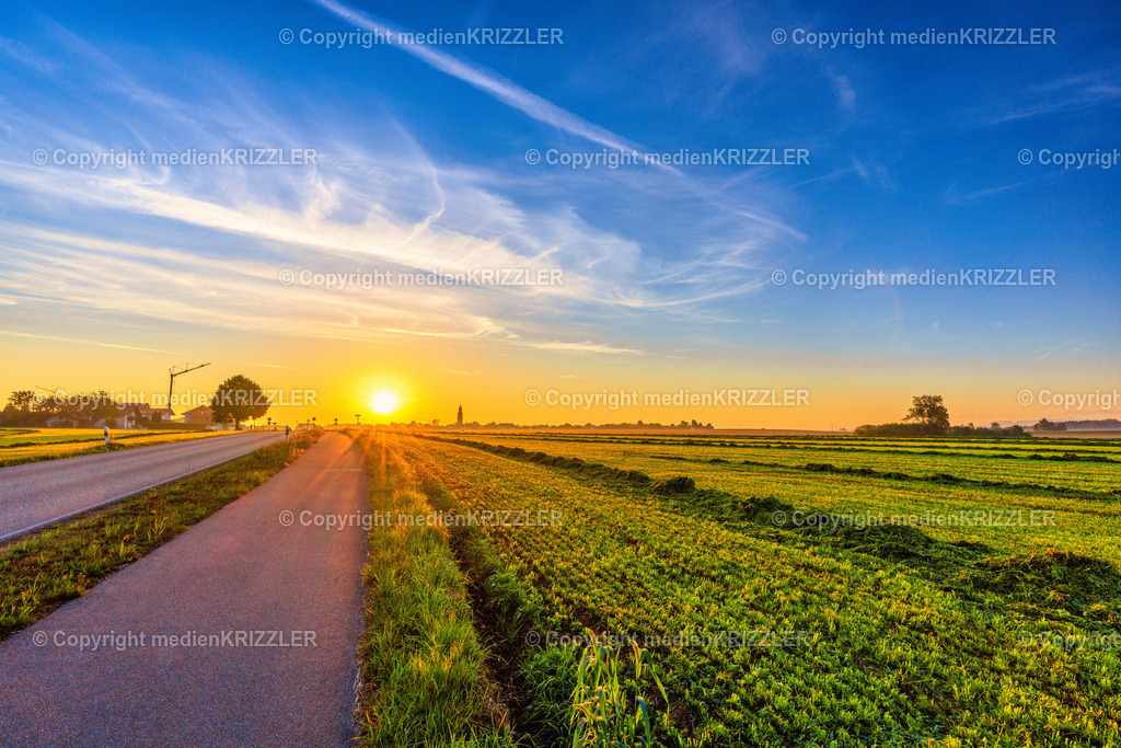 _J3A8538 | medienkrizzler - Realisiert mit Pictrs.com