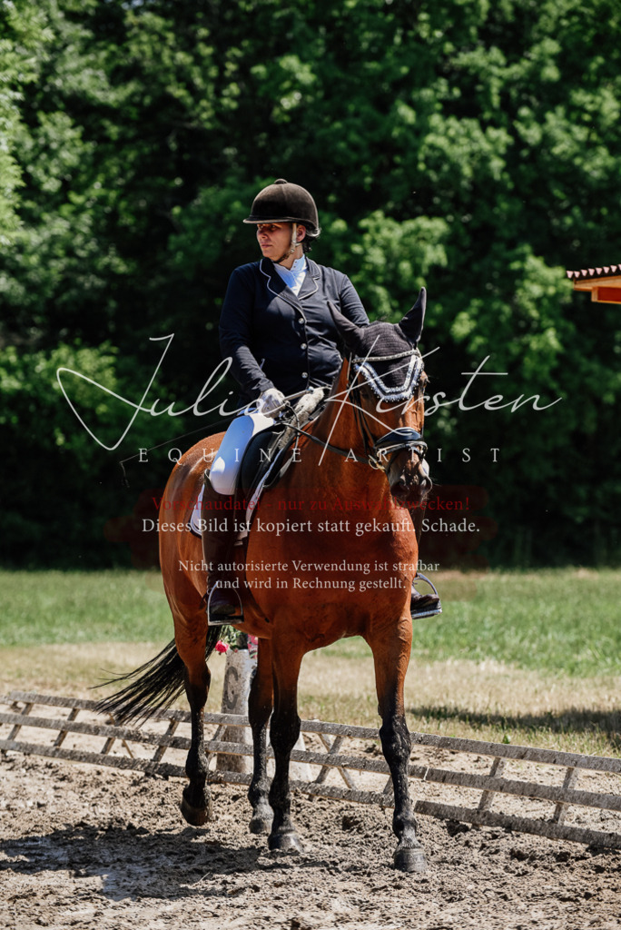 DSC_1980 | Pferde- und Turnierfotografie in Westsachsen. Pferdeportraits, Auftragszeichnungen und intuitive Kunst.