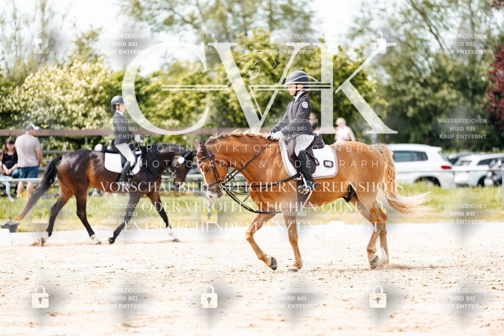 CK902478 | Turnierfotografie Pferdefotografie Trier Rheinland-Pfalz Pferdesport Reitsport Tierfotografie Sportfotografie Pferdevideo Pferdevideografie Equestrianvideography equestrianphotography  - Realisiert mit Pictrs.com