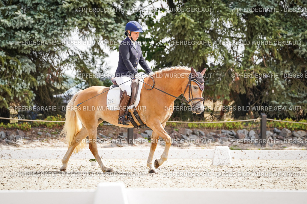 DSC09522 | Pferdegrafie