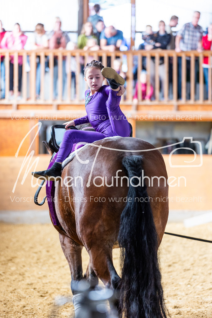 SS-Mini-251 | MomenTaufnahmen Pferdesportfotos