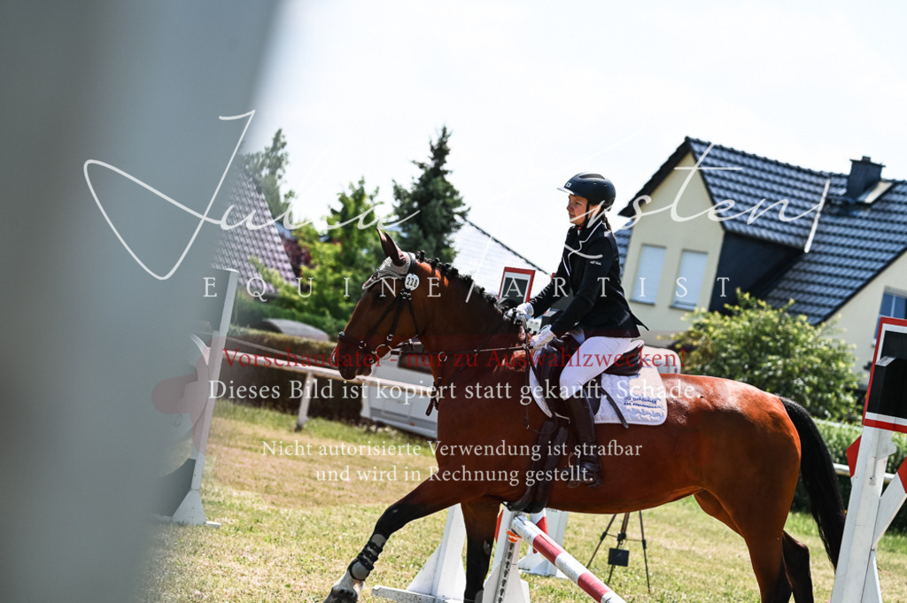 DSC_9883 | Pferde- und Turnierfotografie in Westsachsen. Pferdeportraits, Auftragszeichnungen und intuitive Kunst.