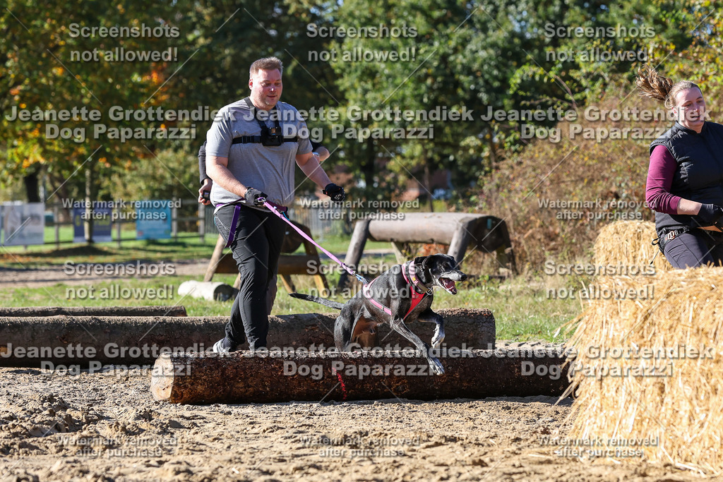 Dog Paparazzi - Strongdog 10-25-2836 | Dog Paparazzi Jeanette Grottendiek Fotografie & Videografie - Realisiert mit Pictrs.com