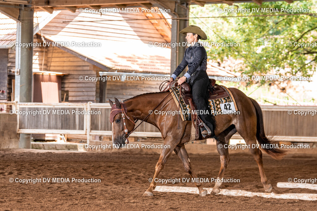 Erbach Tag 2-389 | dv-media-shop - Realisiert mit Pictrs.com