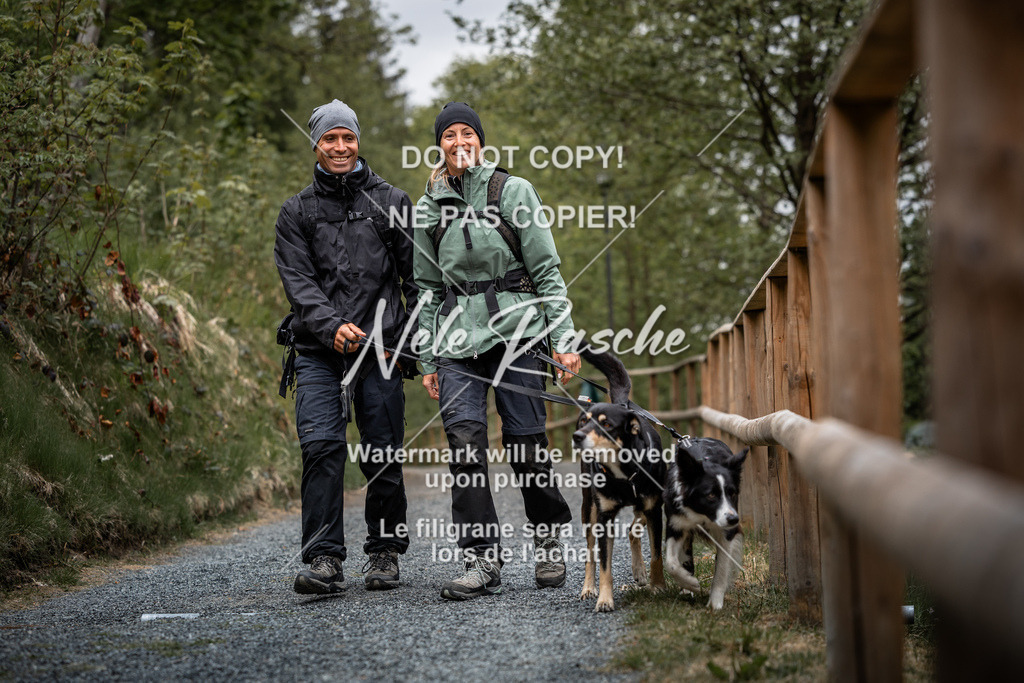 nelerasche_SaAbends_206 | nelerasche