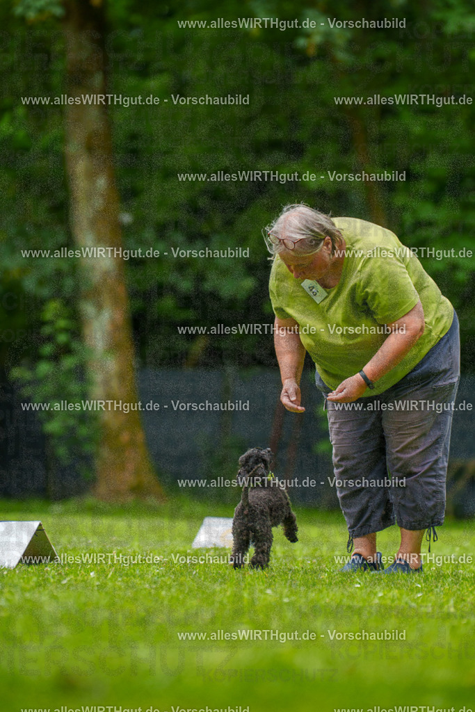 @allesWIRTHgut_Tierfotografie - www.allesWIRTHgut.de - 7R500481 | Professionelle Tierfotografie in Mönchengladbach von Daniel Wirth (allesWIRTHgut). Liebevolle & natürliche Bilder von Hunden & Katzen für unvergessliche Erinnerungen.